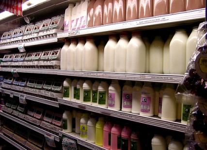Rows of milk 