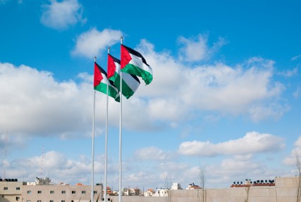 Palestinian flags 