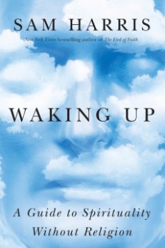 Waking_Up_Cover_Small-245x369