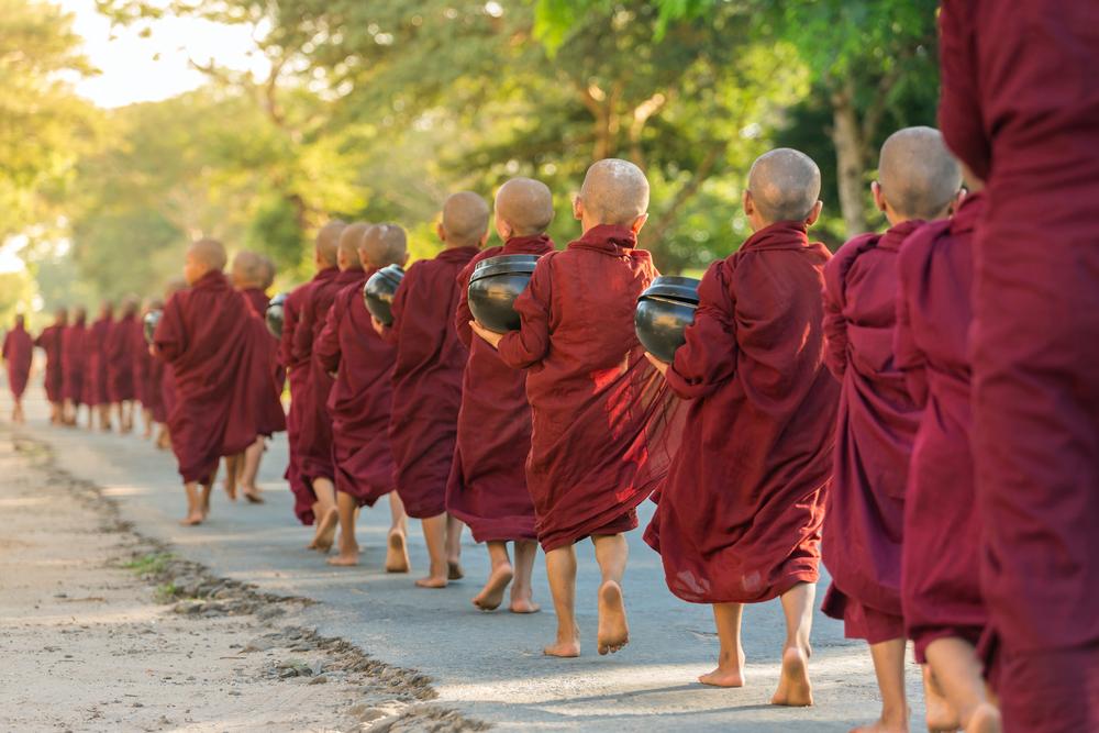 buddhist young monk novices