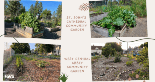 community gardens spokane